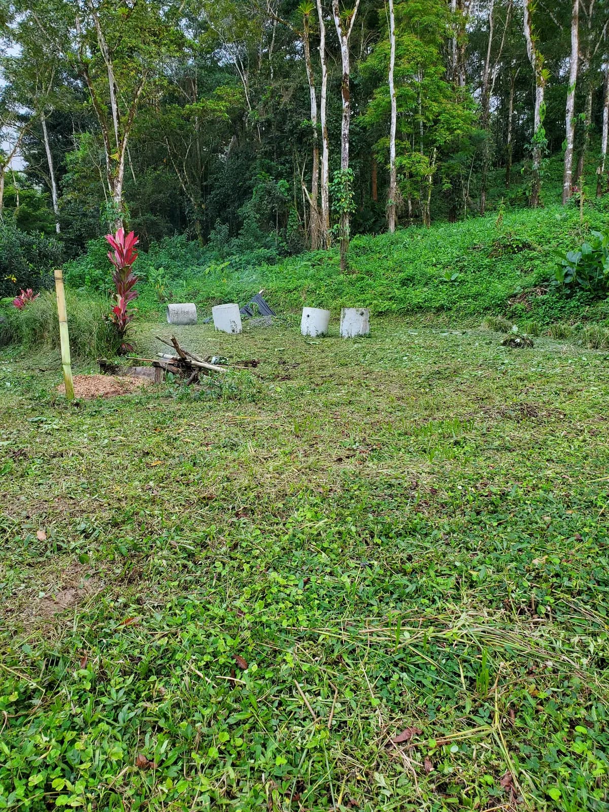 Cleared building site on Lot 3 with concrete footing forms marking a potential build spot