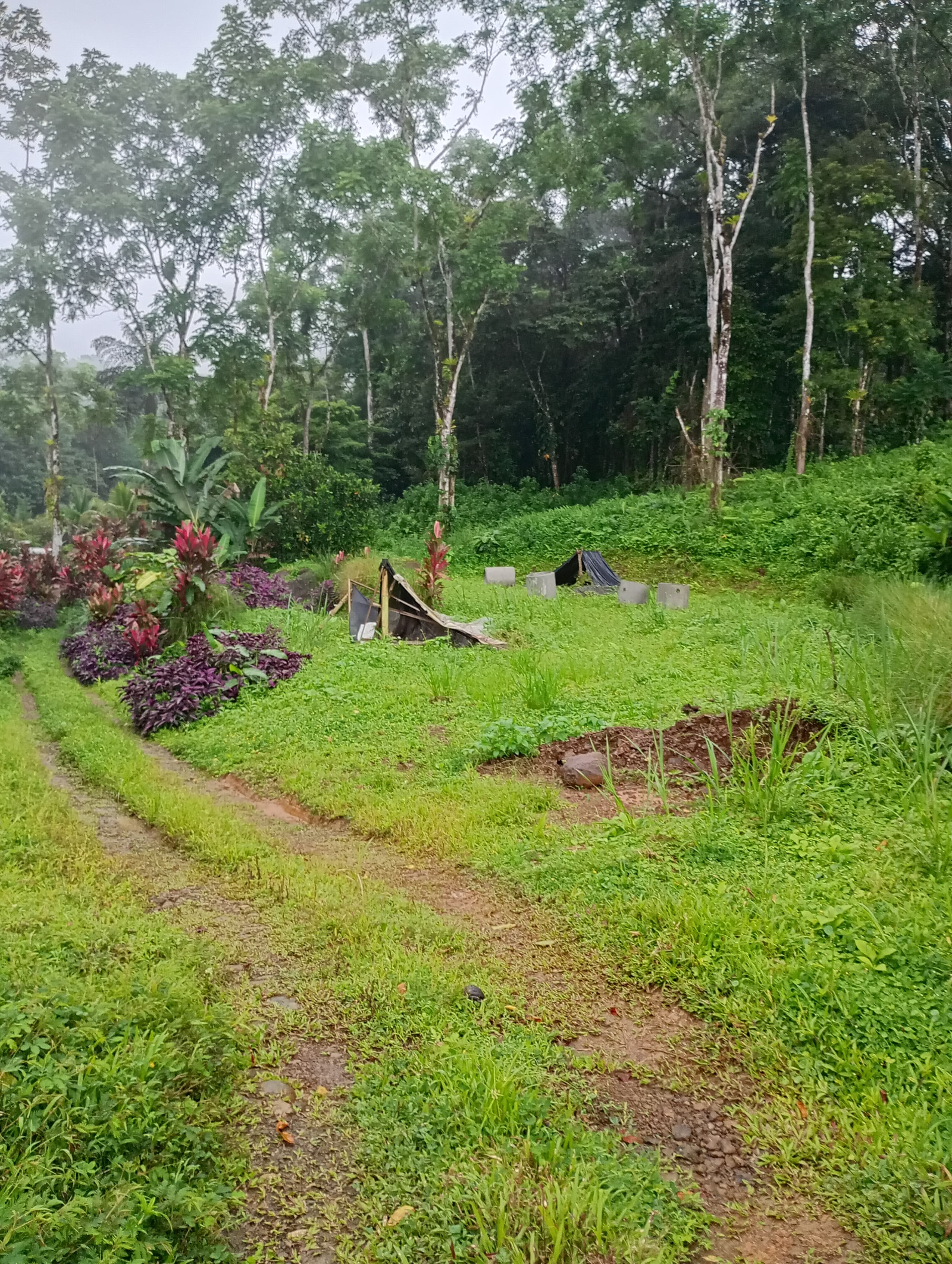 Graded gravel access road reaching the parcel