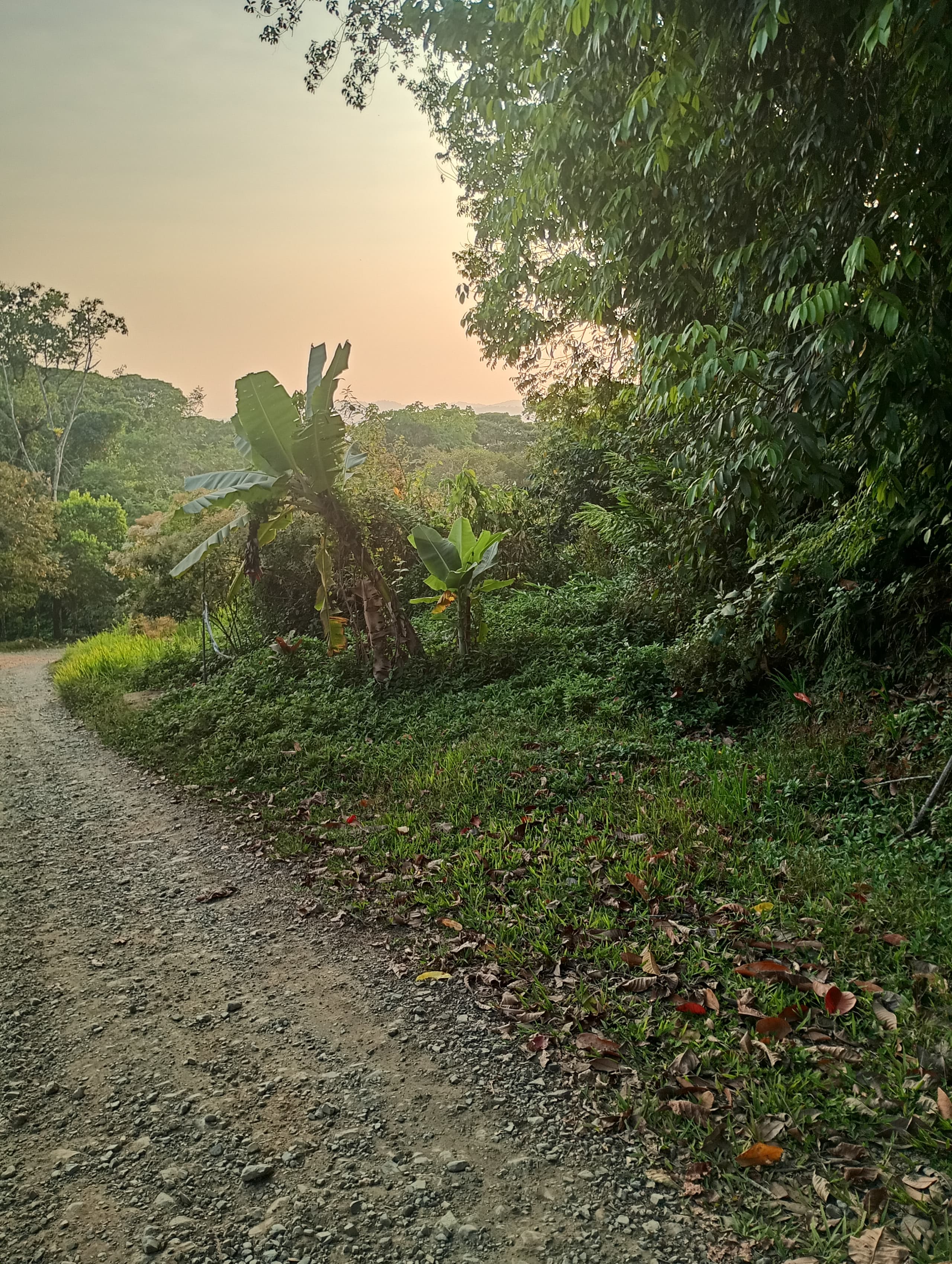 Public-road frontage in La Alfombra