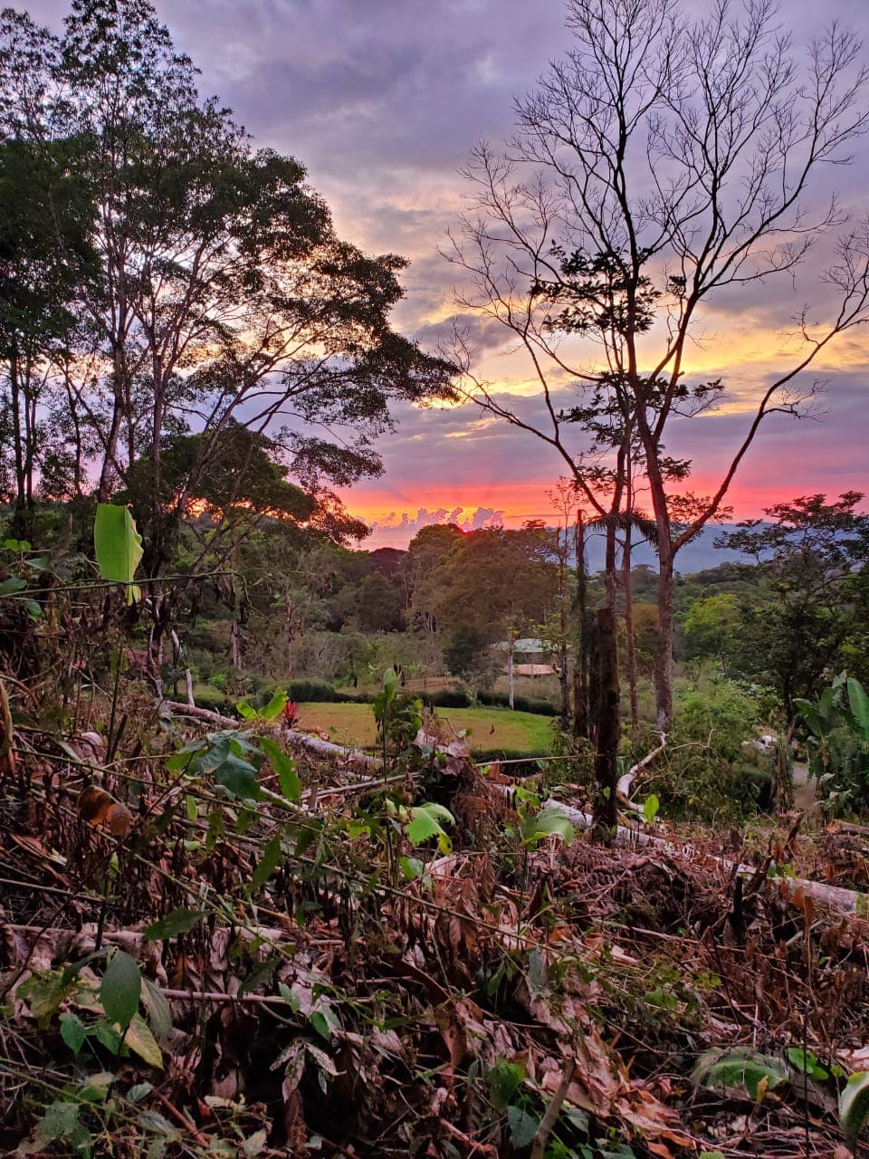 Lot 3 Parcel — Lot 3